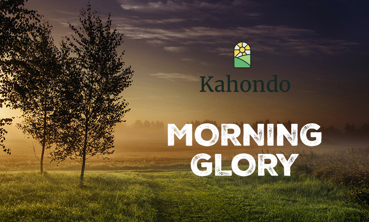 Morning Glory | Een sfeervolle ochtendwandeling